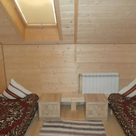 Apartment Karpatskiy Domik